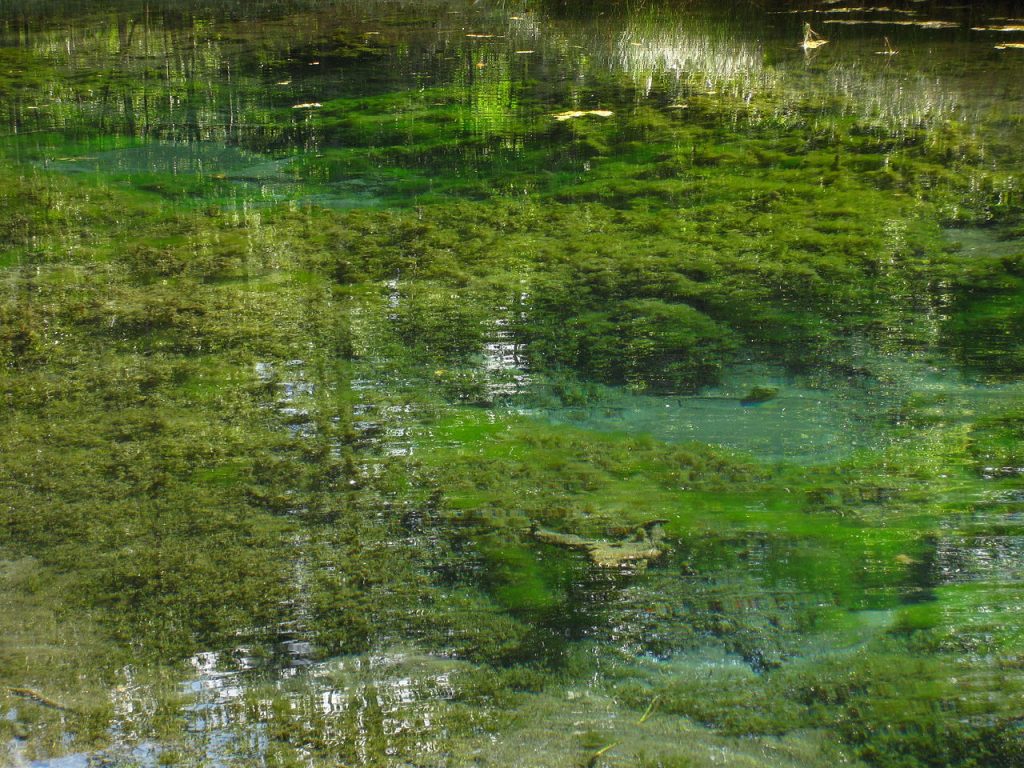 Blue Springs of Saula